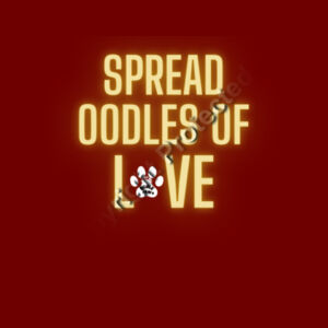 Ladies beautiful cap sleeved, scooped neck and super comfy -   Spread the Love in Oodles of Style spreading Gold Dust wherever you go Design