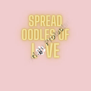 Summer Time Crop Top in three Fab Colours Spreading the Love in Beautiful Style Design