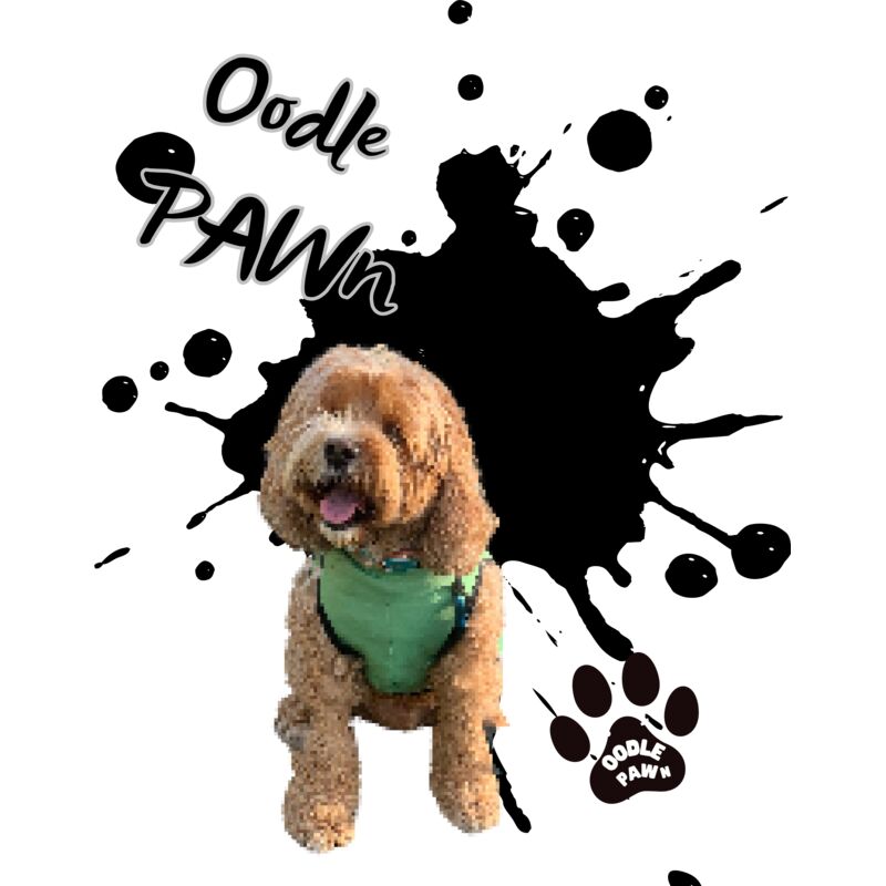 Grafitti Oodle black Thumbnail